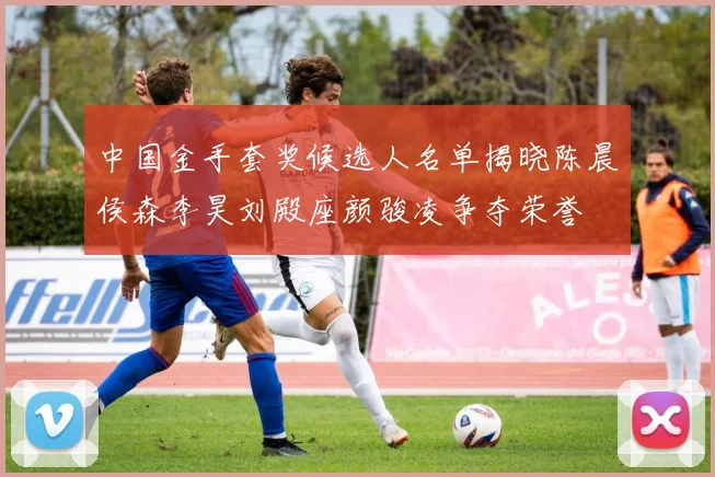 中国金手套奖候选人名单揭晓陈晨侯森李昊刘殿座颜骏凌争夺荣誉