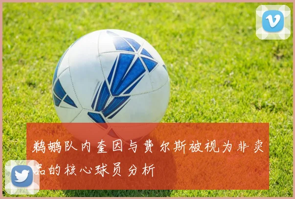 鹈鹕队内奎因与费尔斯被视为非卖品的核心球员分析