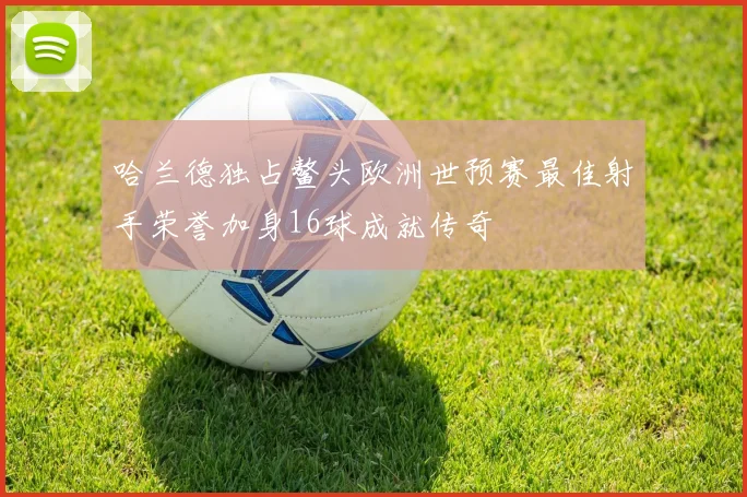 哈兰德独占鳌头欧洲世预赛最佳射手荣誉加身16球成就传奇